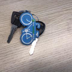 Klucz rowerowy, zgłoszono przez Gemeente Arnhem przy użyciu iLost