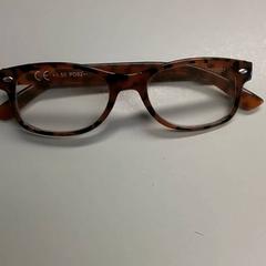 Glasses Bruin, as reported by Burgers' Zoo using iLost