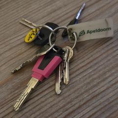 Bos Sleutels, ha sido reportado a iLost