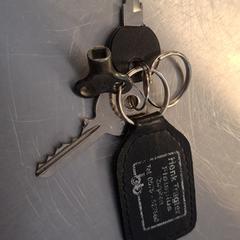 Sleutelbos, jak zgłoszono do iLost