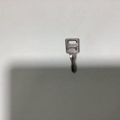 Key - 091125 GAGA, as reported by Ziggo Dome using iLost