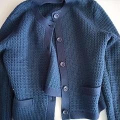 Vesta, jak nahlášeno Twisto pomocí iLost