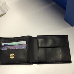 Portafogli A.P Willig, come riportato da Gemeente Haarlem utilizzando iLost