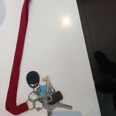 Llavero, ha sido reportado por Arriva Limburg Zuid con iLost