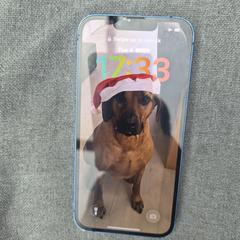 Iphone, gerapporteerd met iLost