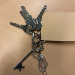 Chiavi, come riportato da RET utilizzando iLost