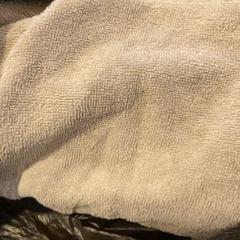 Serviette + calecon puma noir, zoals gemeld door MEININGER Hotel Marseille Centre la Joliette met iLost