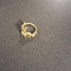 Anel, segundo informou Breng Nijmegen usando iLost