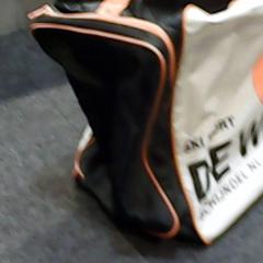 Skitas de wit, zoals gemeld door SnowWorld Landgraaf met iLost