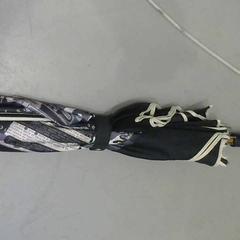 Parasol, zgłoszono przez Relais Azalys przy użyciu iLost