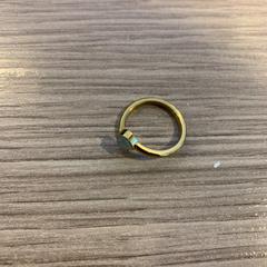 İLost kullanarak RAI Amsterdam tarafından bildirildiği gibi Ring Goud met witte steen