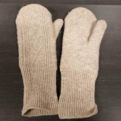 Kleding Handschoen, zoals gemeld door Centraal magazijn met iLost