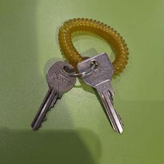 Claus met gele ring, segons ha informat Gemeente Hardenberg mitjançant iLost