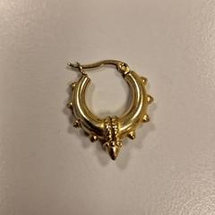 귀걸이, iLost를 사용하여 Vrije Universiteit Amsterdam에 보고됨