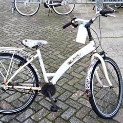Bicycle Wit, as reported by Stadswerk072 using iLost