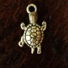 Zilverkleurig bedeltje schildpad, jak zgłoszono do iLost