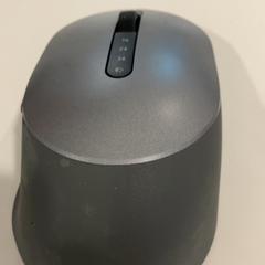 Ratolí, segons ha informat TU/e - Receptie Atlas mitjançant iLost