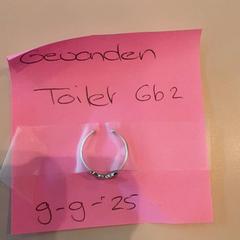 Ring Vlinder op de ring, as reported by LUMC using iLost