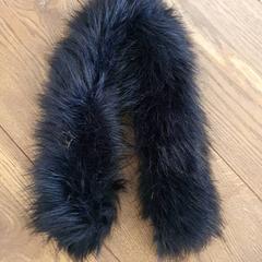 Kraag, gemeldet von DierenPark Amersfoort über iLost