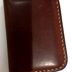 Titular de la passió, segons ha informat allGo Almere mitjançant iLost