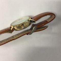 Reloj de pulsera, ha sido reportado por Haaglanden Medisch Centrum con iLost