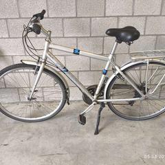 Bicykel Giant grijze herenfiets, ako bolo nahlásené Verloren Fietsen pomocou iLost