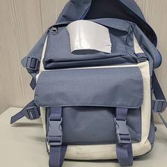 Mochila, como reportado por Transdev Gooi en Vechtstreek utilizando o iLost