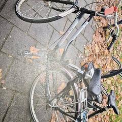 Damenrad, gemeldet von Gemeente Roermond über iLost