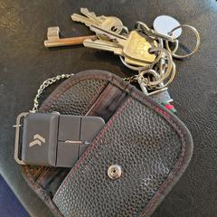 Sleutelbos, segons s'ha informat a iLost