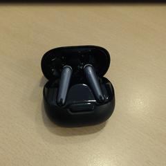 Earphones zwart, as reported by Walibi Holland using iLost