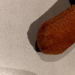 Mazlící hračka, jak nahlášeno De Efteling pomocí iLost