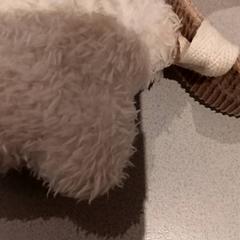 Puppen, gemeldet von De Efteling über iLost