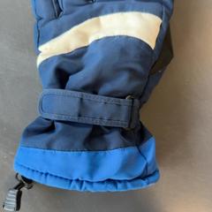 Kesztyű Donkerblauw, amint azt Burgers' Zoo az iLost segítségével jelentette.