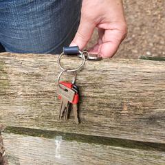 Sleutelbos, jak zgłoszono do iLost