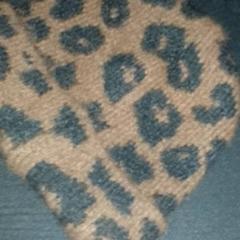 Muts, zoals gemeld door TivoliVredenburg met iLost