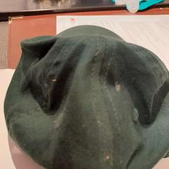 Casquette verte, a été signalé par TCL utilisant iLost