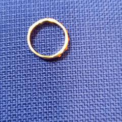 Ring, zoals gemeld door UvA REC met iLost