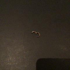 Jewelry, as reported by Van der Valk Hotel Amsterdam Zuidas using iLost