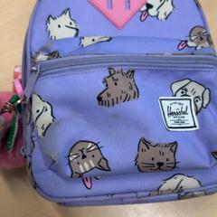 Motxilla, segons ha informat RET mitjançant iLost