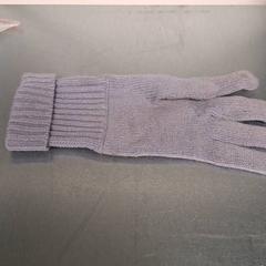 Rękawica, zgłoszono przez Keolis Lund przy użyciu iLost