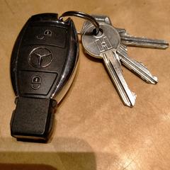 Sleutelbos, iLost에 보고됨