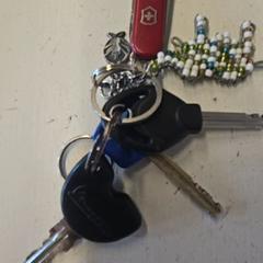 Key, as reported by GVB using iLost