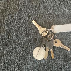 Portachiavi, come riportato da Breng Arnhem utilizzando iLost