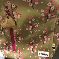 Batoh, jak nahlášeno U-OV Utrecht pomocí iLost