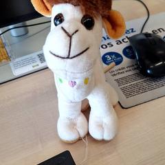 ぬいぐるみ Chameau がiLostで IKEA Dijon によって報告されました