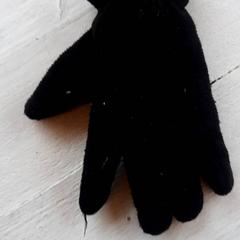 Handschoen Zwart, ako bolo nahlásené DierenPark Amersfoort pomocou iLost