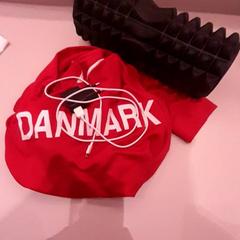 القميص Massageroller and charger، كما تم الإبلاغ عنه بواسطة Van der Valk Hotel Schiphol عبر iLost