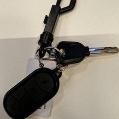 Klucze, zgłoszono przez Gemeente Hilversum przy użyciu iLost