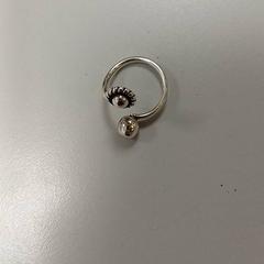 Zilverkleurige ring, gemeldet von Heidelberglaan 15 über iLost