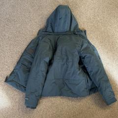 Dzseki Donkerblauw, amint azt Burgers' Zoo az iLost segítségével jelentette.